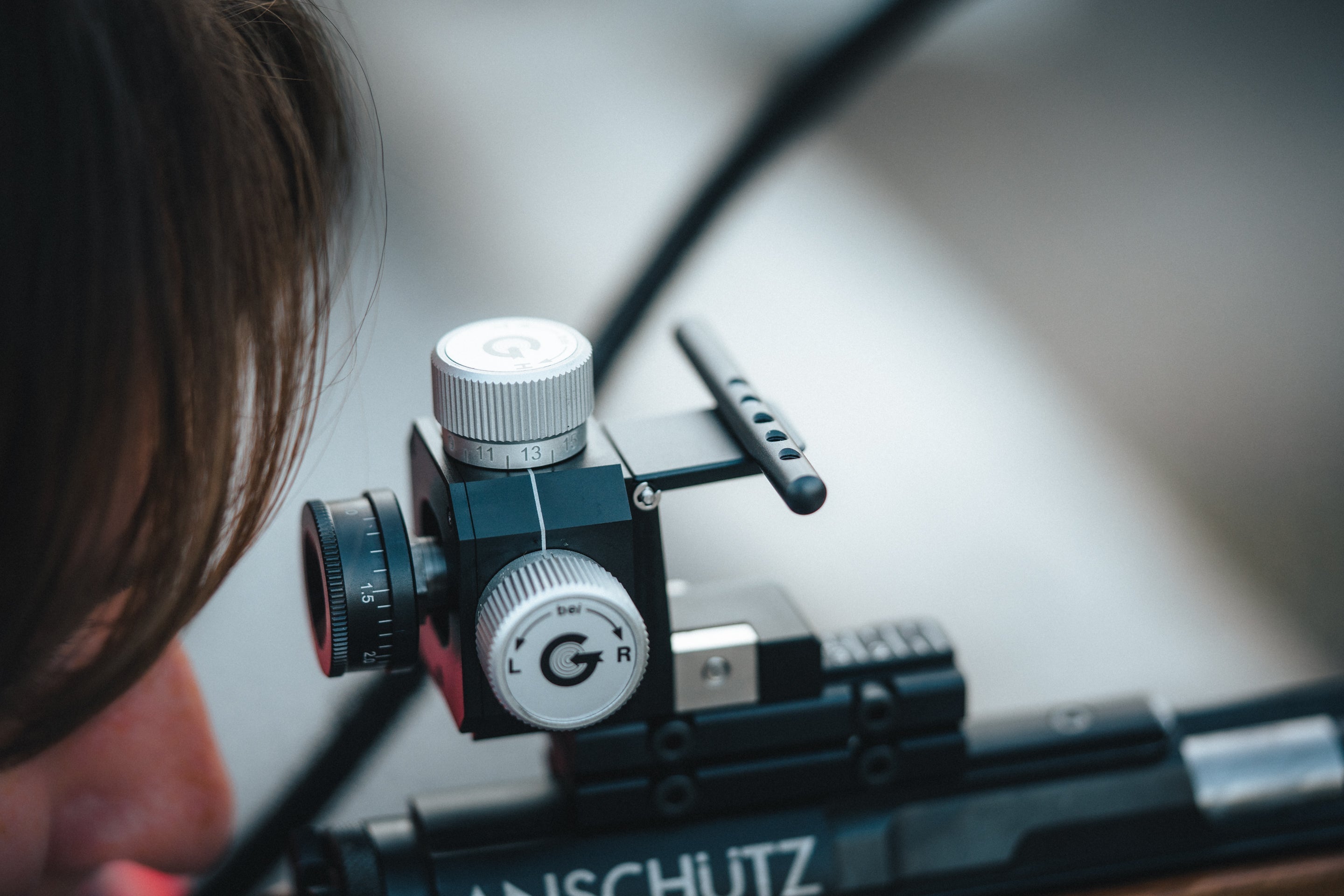Understanding Rear Sights